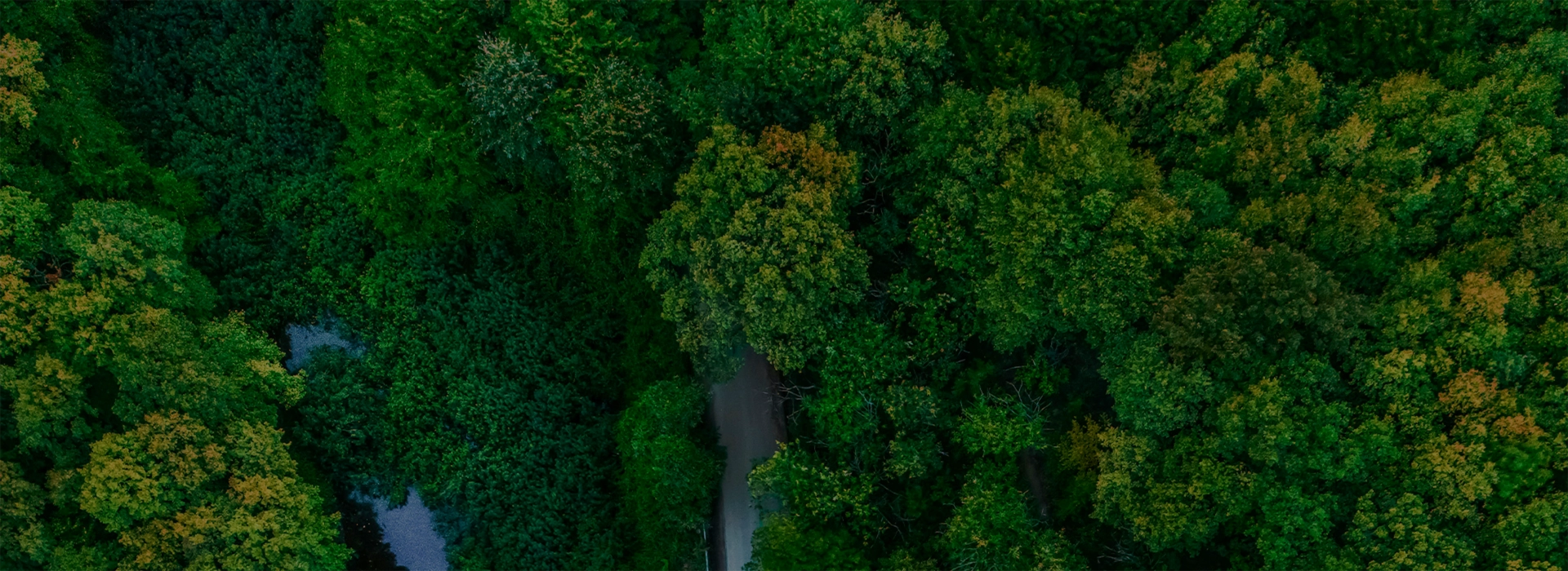 Sustainability banner